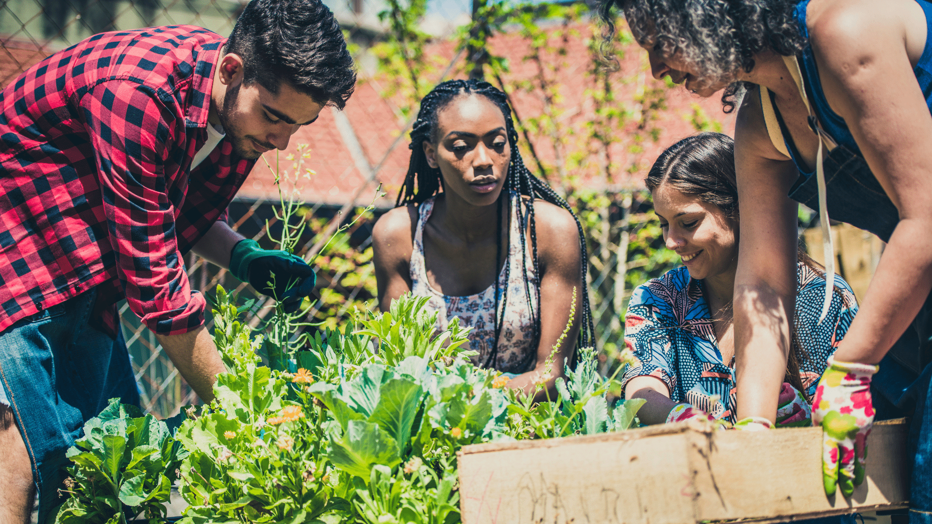 Jeunes, nature et travaux