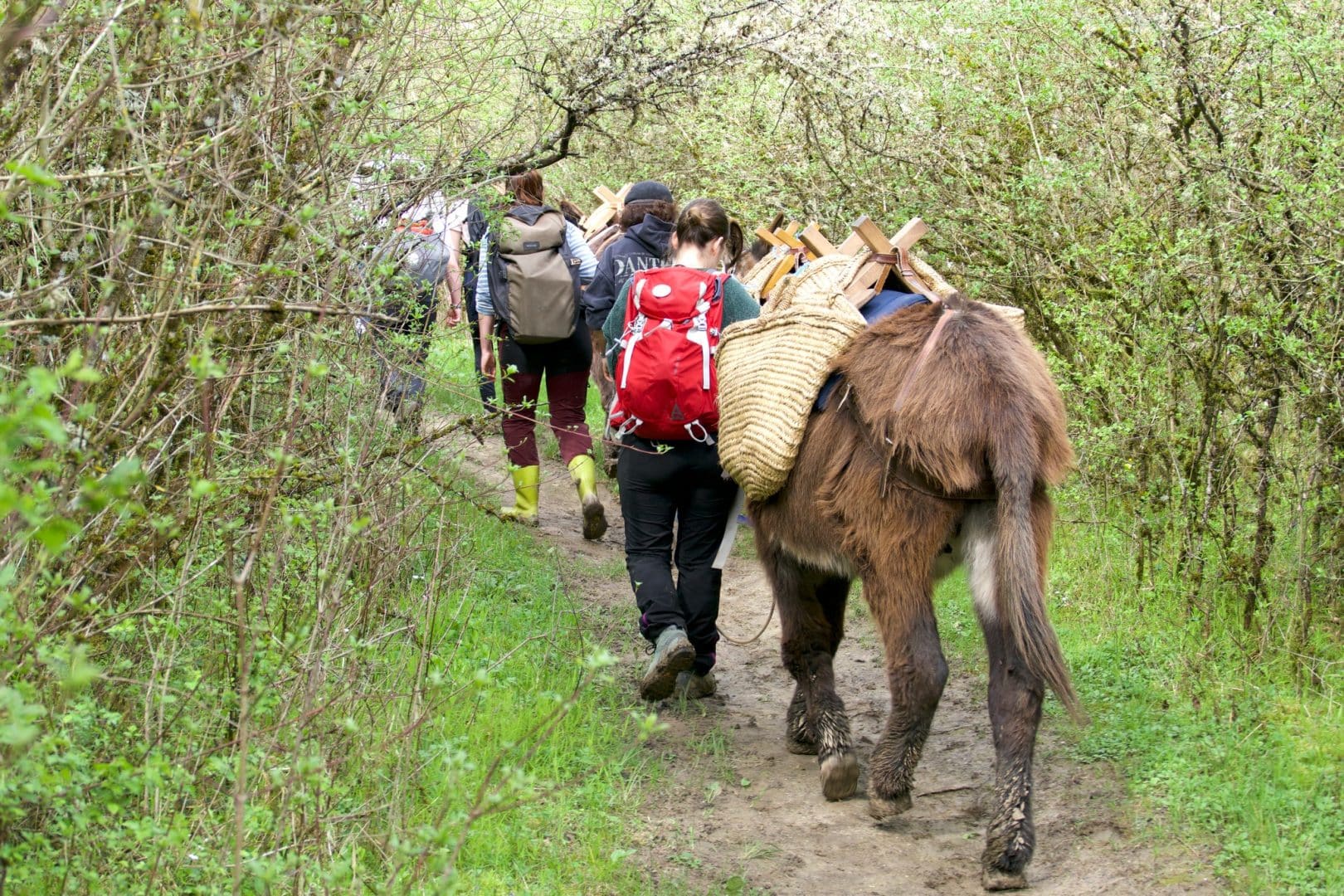 Compagnons à poils et à sabots